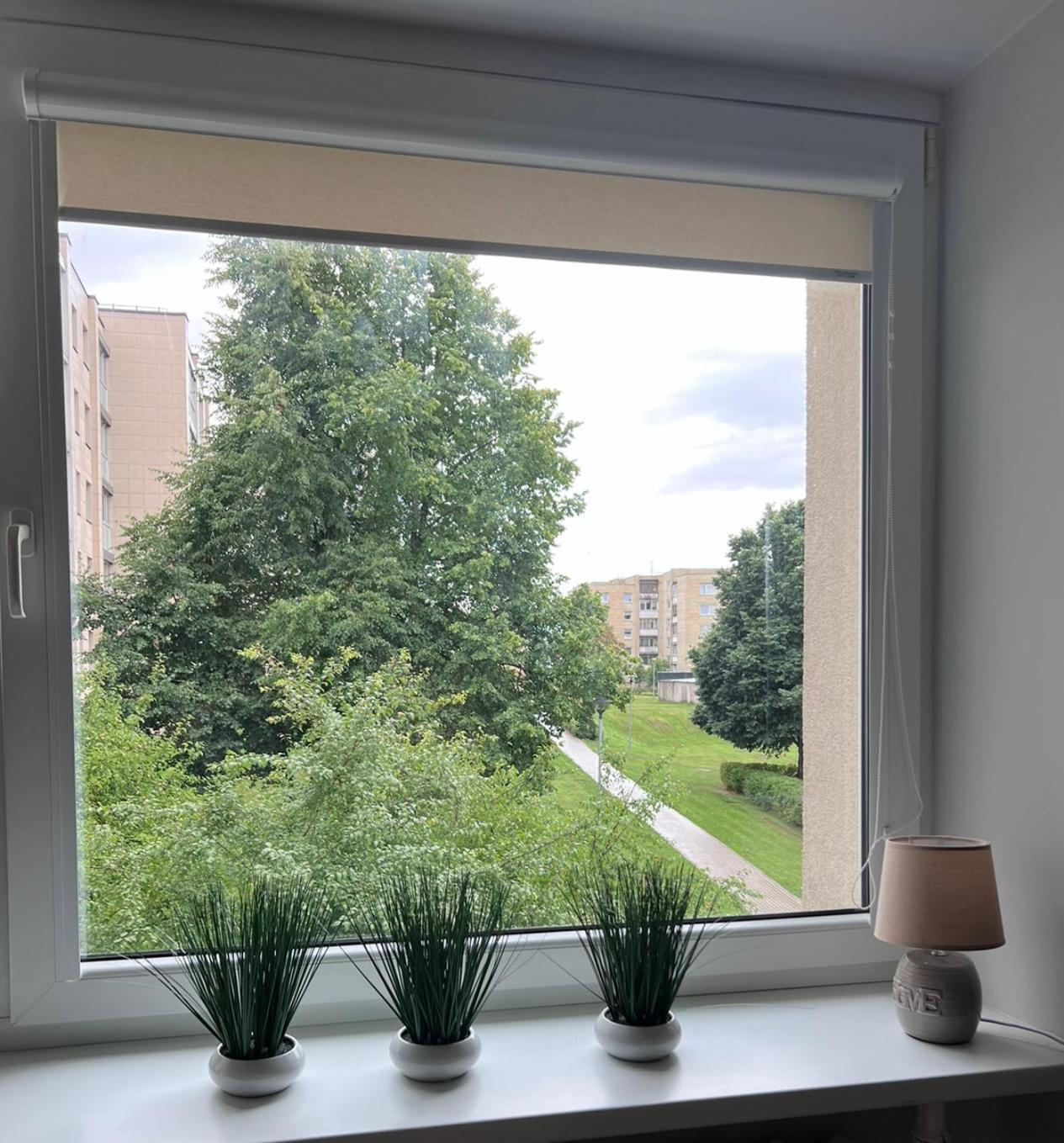 Sauleti Apartamentai Trakuose/Sunny Apartment In Trakai Kültér fotó