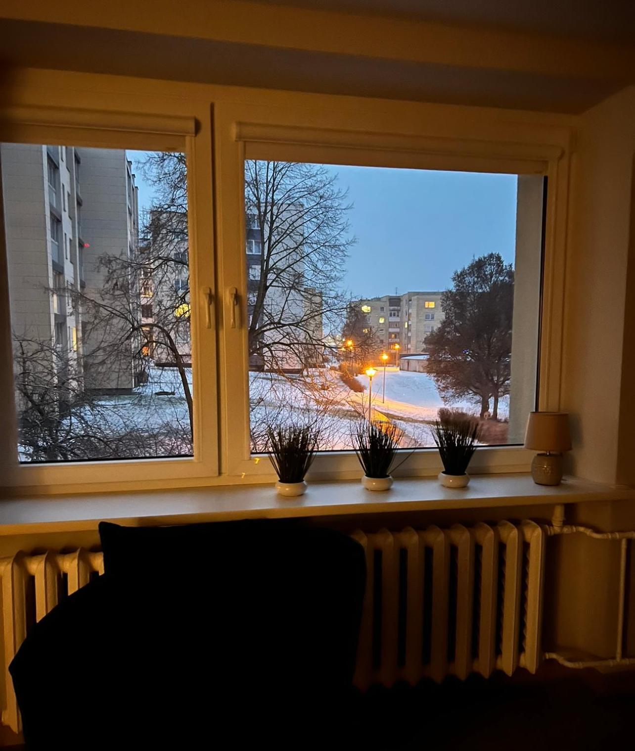 Sauleti Apartamentai Trakuose/Sunny Apartment In Trakai Kültér fotó